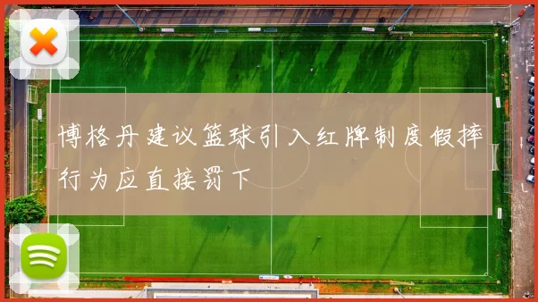 博格丹建议篮球引入红牌制度假摔行为应直接罚下