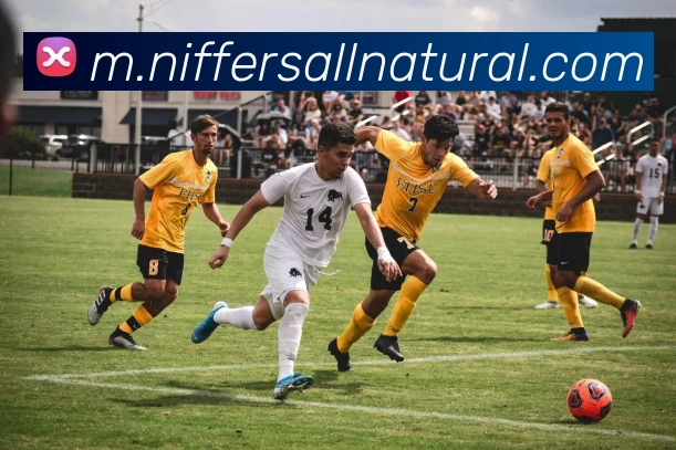 体育直播服务